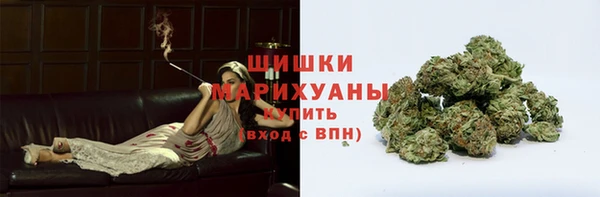 МДПВ Волоколамск