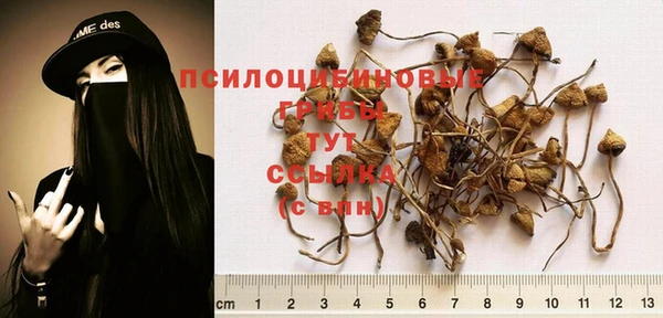 МДПВ Волоколамск