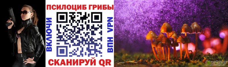 Галлюциногенные грибы Psilocybe Купить где Мещовск