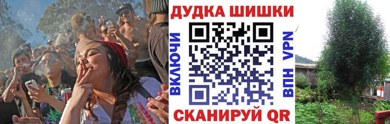 Купить  Мещовск  Конопля планчик 
